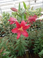 [5351 Gran Tourismo DJ No02.JPG]